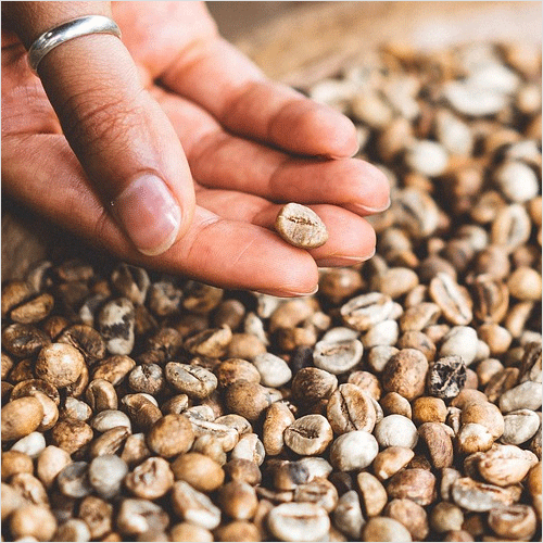 투스타커피 PC 이미지 1667701