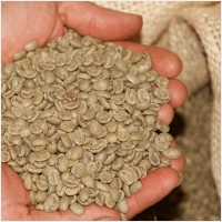 투스타커피 PC 갤러리 6