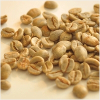 투스타커피 PC 갤러리 3