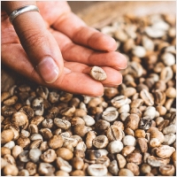 투스타커피 PC 갤러리 2